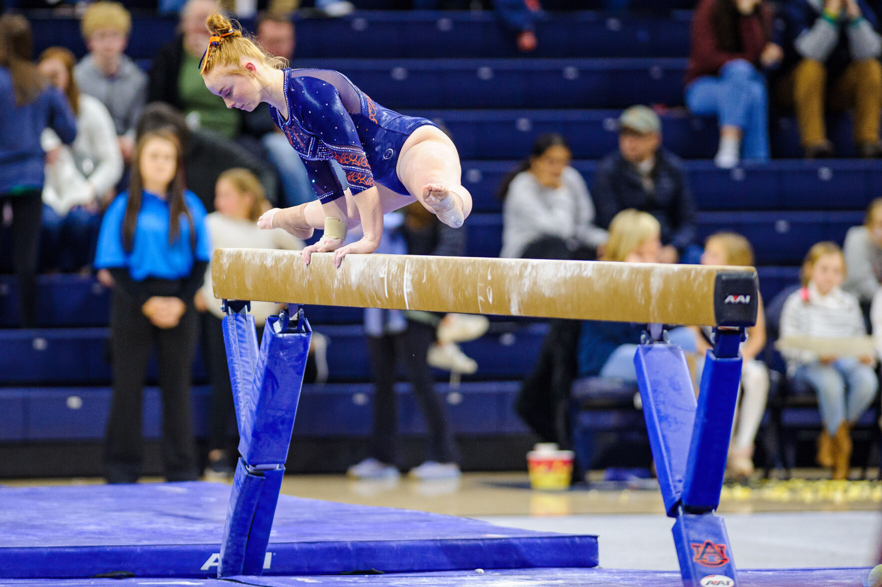 Auburn Gymnastics preview meet
